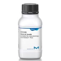 MUG EC broth