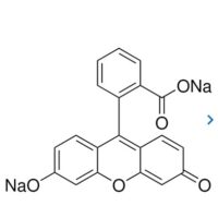 Fluorescein Sodium Salt Powder