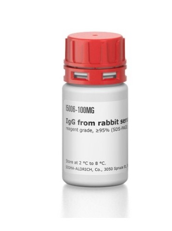 IgG from rabbit serum